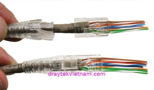 Đầu mạng RJ45 CAT.6 Dintek (1501-88060) 9 Đầu mạng RJ45 CAT.6 Dintek (1501-88060)